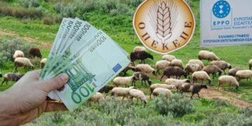 Αμύνταιο: Έλεγχοι για δηλώσεις παράνομων βοσκοτόπων  – Ηχηρή προειδοποίηση από τον Αγροτικό Συνεταιρισμό