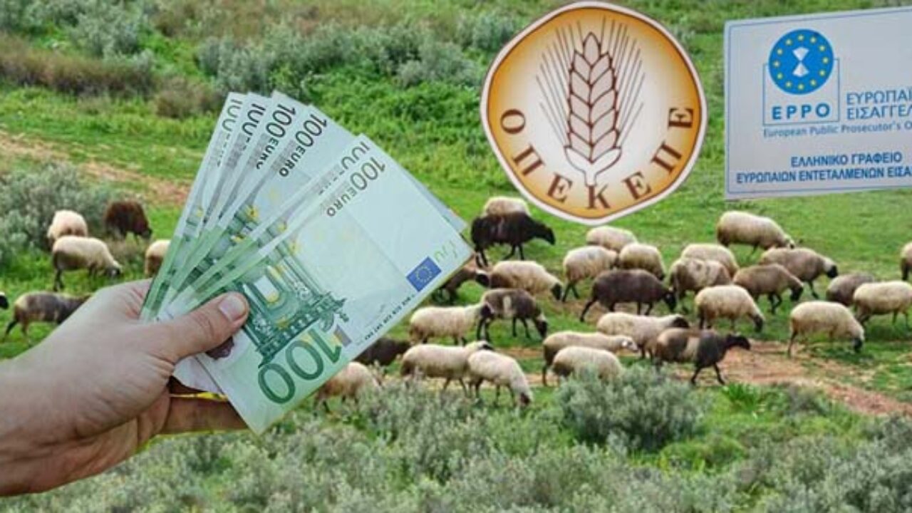 Αμύνταιο: Έλεγχοι για δηλώσεις παράνομων βοσκοτόπων – Ηχηρή προειδοποίηση από τον Αγροτικό Συνεταιρισμό