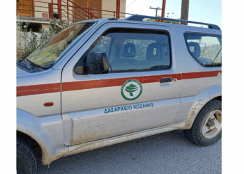 Κλιμάκιο του Δασαρχείου στην Ασβεστόπετρα: Αν ξαναεμφανιστεί αρκούδα μέσα στο χωριό θα κληθεί η Ομάδα Άμεσης Επέμβασης