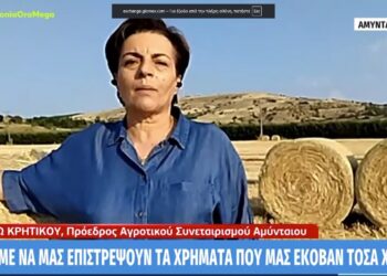 Δ. Κρητικού (Αμύνταιο): “Δήλωναν αγριελιές & πρόβατα στο Γράμμο – Να μας επιστρέψουν όσα μας έπαιρναν τόσα χρόνια”