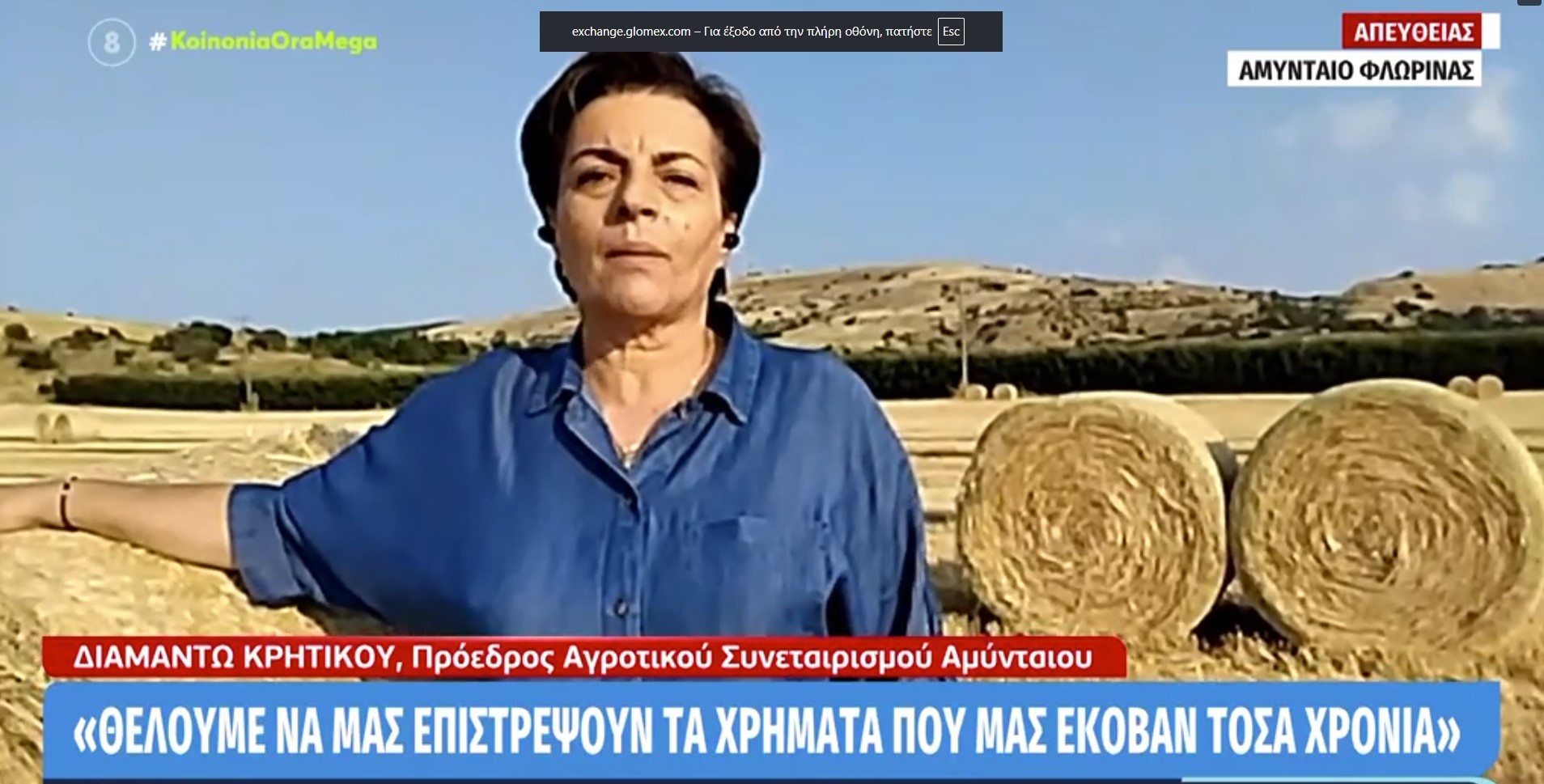 Δ. Κρητικού (Αμύνταιο): “Δήλωναν αγριελιές & πρόβατα στο Γράμμο – Να μας επιστρέψουν όσα μας έπαιρναν τόσα χρόνια”