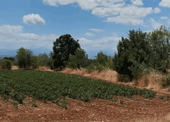 Πυρκαγιά σε εξέλιξη στην Εράτυρα Βοϊου – Επιχειρεί και ελικόπτερο