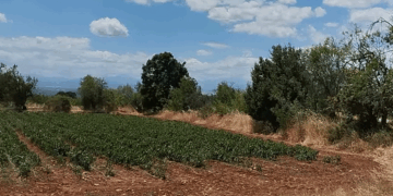 Πυρκαγιά σε εξέλιξη στην Εράτυρα Βοϊου – Επιχειρεί και ελικόπτερο