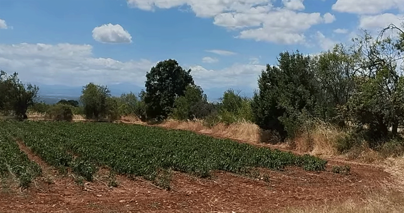 Πυρκαγιά σε εξέλιξη στην Εράτυρα Βοϊου – Επιχειρεί και ελικόπτερο