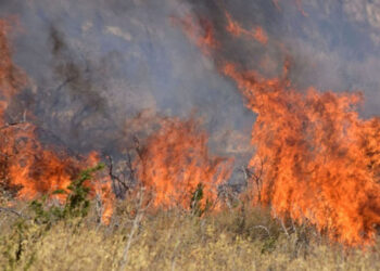 Σύλληψη στη Φλώρινα για πρόκληση πυρκαγιάς σε αγροτική έκταση