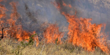 Σύλληψη στη Φλώρινα για πρόκληση πυρκαγιάς σε αγροτική έκταση