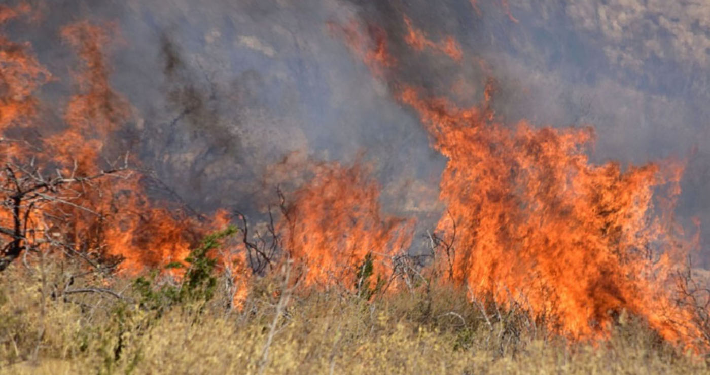 Σύλληψη στη Φλώρινα για πρόκληση πυρκαγιάς σε αγροτική έκταση