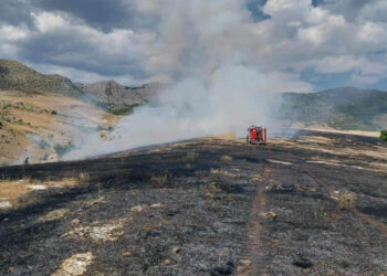 Συναγερμός στον Άγιο Δημήτριο Κοζάνης: Πυρκαγιά πλησίασε σπίτια – Έκκληση της Τοπικής Κοινότητας για καθαρισμούς