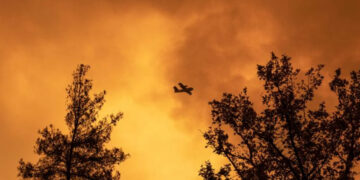 Σκληρή μάχη με τις φλόγες στην Καστοριά – Καίγεται πυκνό πευκοδάσος