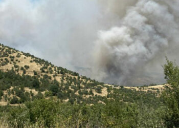 Μεγάλη φωτιά σε εξέλιξη αυτή την ώρα κοντά στο Χειμάδι Αμυνταίου – Επιχειρεί η Πυροσβεστική (video)