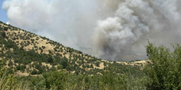 Μεγάλη φωτιά σε εξέλιξη αυτή την ώρα κοντά στο Χειμάδι Αμυνταίου – Επιχειρεί η Πυροσβεστική (video)