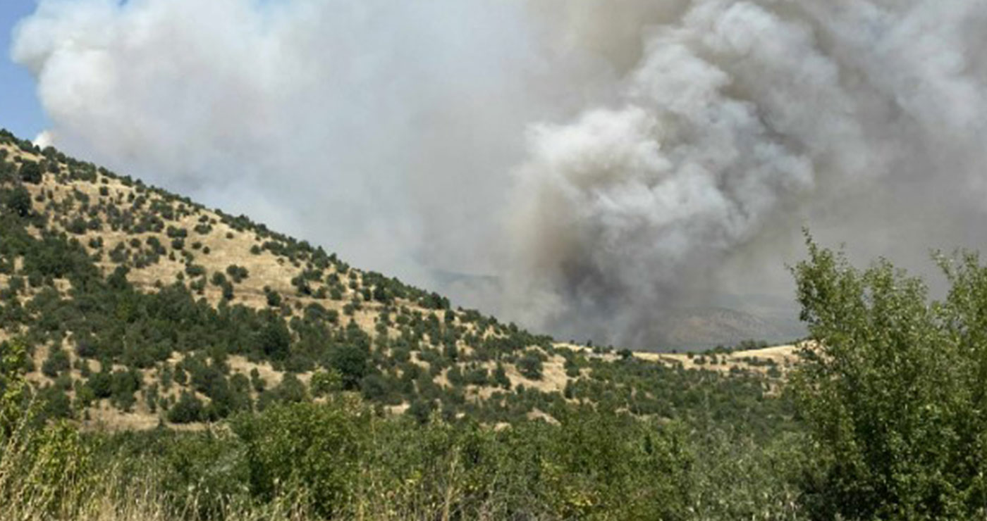 Μεγάλη φωτιά σε εξέλιξη αυτή την ώρα κοντά στο Χειμάδι Αμυνταίου – Επιχειρεί η Πυροσβεστική (video)