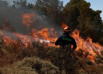 Φωτιά σε δασική έκταση στη Δεσκάτη Γρεβενών