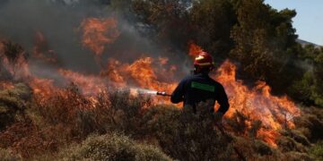 Φωτιά σε δασική έκταση στη Δεσκάτη Γρεβενών