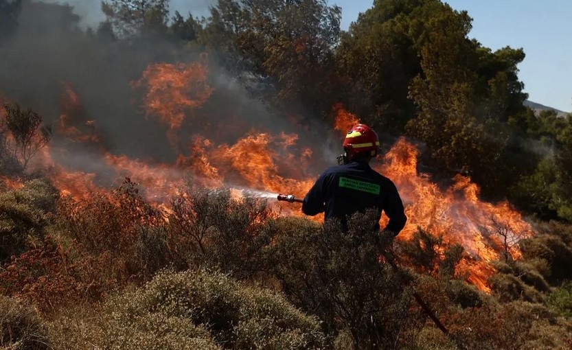 Φωτιά σε δασική έκταση στη Δεσκάτη Γρεβενών