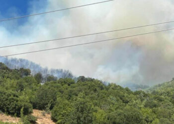 Φωτιά στη Δεσκάτη Γρεβενών: Εκκενώθηκε κατασκήνωση με 55 παιδιά, ενισχύθηκαν οι δυνάμεις