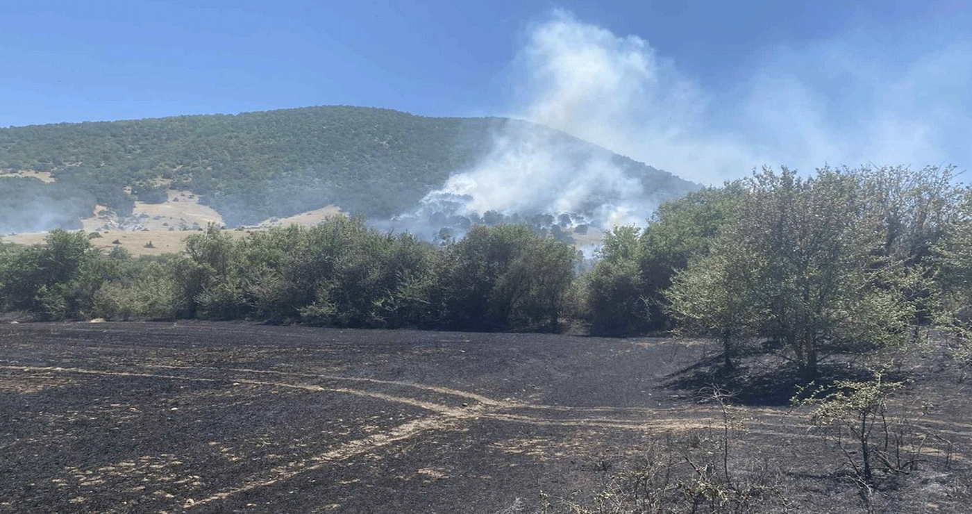VIDEO και εικόνες από τη μεγάλη φωτιά που καίει στην περιοχή “Παναγία” Δρεπάνου – Στην περιοχή επικρατούν ισχυροί άνεμοι