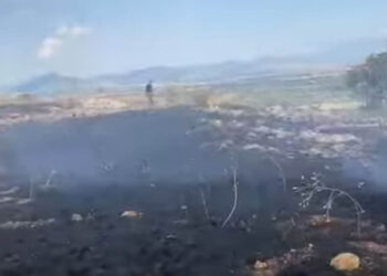 Φωτιά στη ΖΕΠ Κοζάνης: Οι φλόγες μπήκαν στο οικόπεδο της Πανεπιστημιούπολης – Εναέρια μέσα απέτρεψαν τα χειρότερα