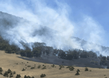 Αναζωπυρώσεις στο μέτωπο της φωτιάς στην «Παναγία» Δρεπάνου – Πανοραμικές εικόνες & νέα VIDEO