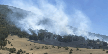 Αναζωπυρώσεις στο μέτωπο της φωτιάς στην «Παναγία» Δρεπάνου – Πανοραμικές εικόνες & νέα VIDEO