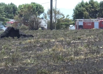 Φωτιά στην περιοχή Κασλά Κοζάνης – Επέμβαση της Πυροσβεστικής (Βίντεο Top Channel)