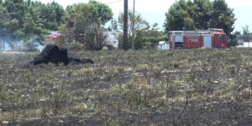 Φωτιά στην περιοχή Κασλά Κοζάνης – Επέμβαση της Πυροσβεστικής (Βίντεο Top Channel)