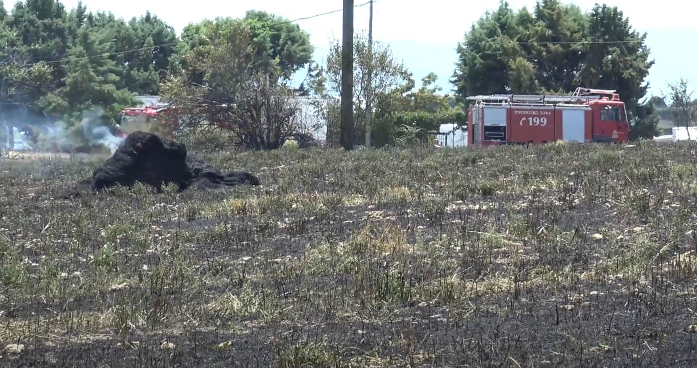 Φωτιά στην περιοχή Κασλά Κοζάνης – Επέμβαση της Πυροσβεστικής (Βίντεο Top Channel)