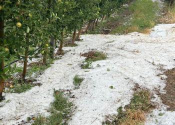 Ισχυρή χαλαζόπτωση σε περιοχές της Καστοριάς (φωτο)