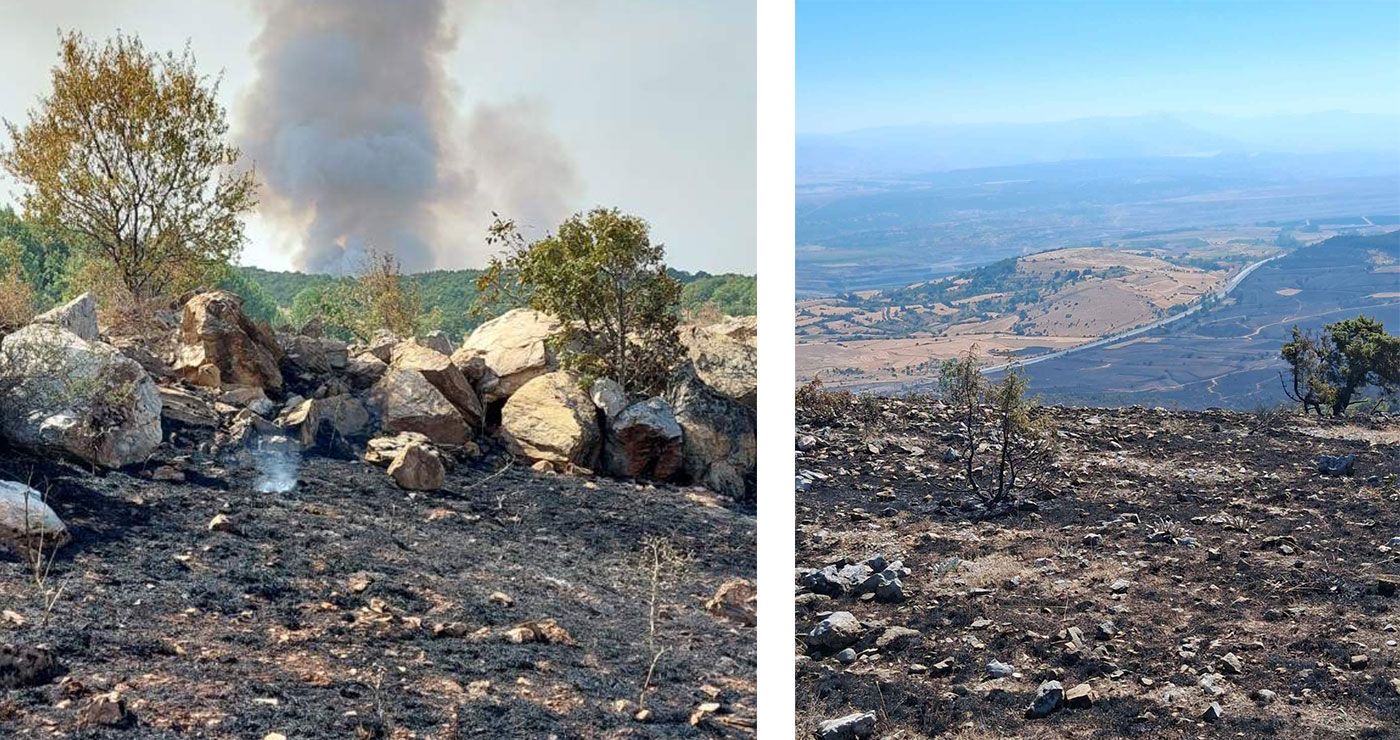 Μαίνεται για τρίτο 24ωρο η μεγάλη φωτιά – Το μέτωπο έχει κατεύθυνση στα Λιβερά Κοζάνης