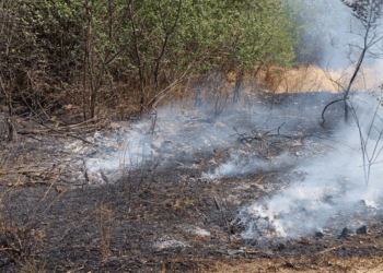 ΕΚΤΑΚΤΟ: Φωτιά σε εξέλιξη στα Μελίσσια Κοζάνης
