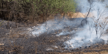 ΕΚΤΑΚΤΟ: Φωτιά σε εξέλιξη στα Μελίσσια Κοζάνης