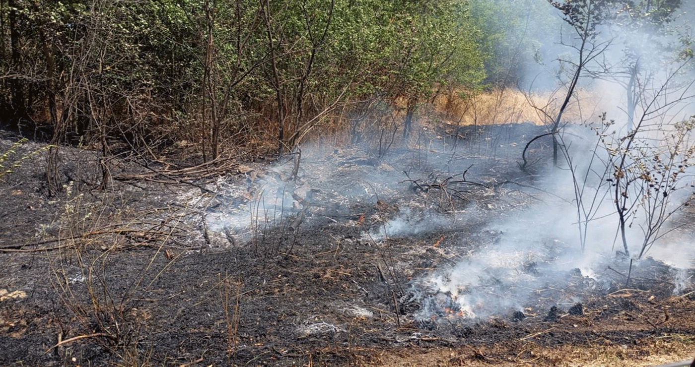 ΕΚΤΑΚΤΟ: Φωτιά σε εξέλιξη στα Μελίσσια Κοζάνης