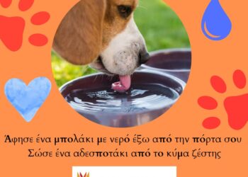 «Άφησε ένα μπολάκι με νερό έξω από την πόρτα σου» – Έκκληση Δήμου Κοζάνης