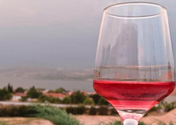 Λίγο κρασί, λίγη λίμνη και το πολλά υποσχόμενο οινοτουριστικό προφίλ της Δυτικής Μακεδονίας