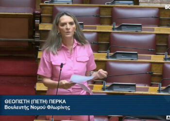 Πέτη Πέρκα: Κυβερνητική υπόθεση και όχι εθνική υπόθεση το Κοινωνικό Ταμείο για το Κλίμα