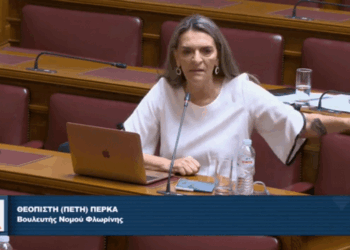 Πέτη Πέρκα: «Ακόμα ένα αποσπασματικό νομοσχέδιο, ενώ τα κρίσιμα και τα σοβαρά στον σιδηρόδρομο δεν προχωράνε» (Βίντεο)