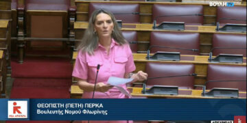 Πέτη Πέρκα: Κυβερνητική υπόθεση και όχι εθνική υπόθεση το Κοινωνικό Ταμείο για το Κλίμα