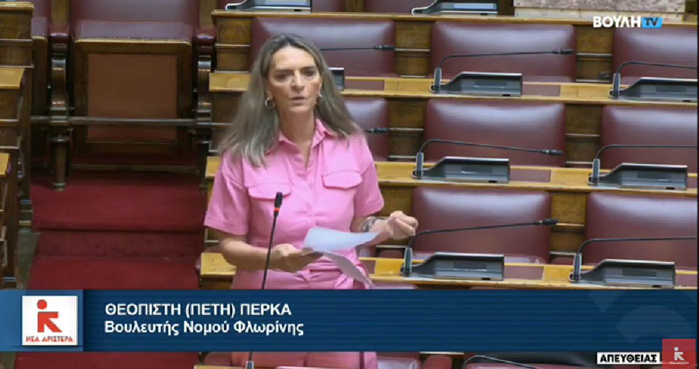 Πέτη Πέρκα: Κυβερνητική υπόθεση και όχι εθνική υπόθεση το Κοινωνικό Ταμείο για το Κλίμα