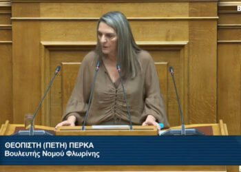 Πέτη Πέρκα: «Έλλειψη οράματος και σχεδιασμού στο νομοσχέδιο για το υδρογόνο και το βιομεθάνιο»