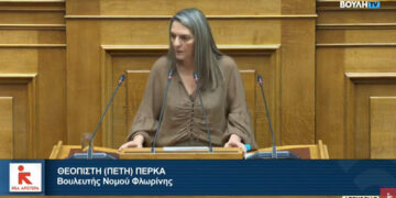 Πέτη Πέρκα: «Έλλειψη οράματος και σχεδιασμού στο νομοσχέδιο για το υδρογόνο και το βιομεθάνιο»