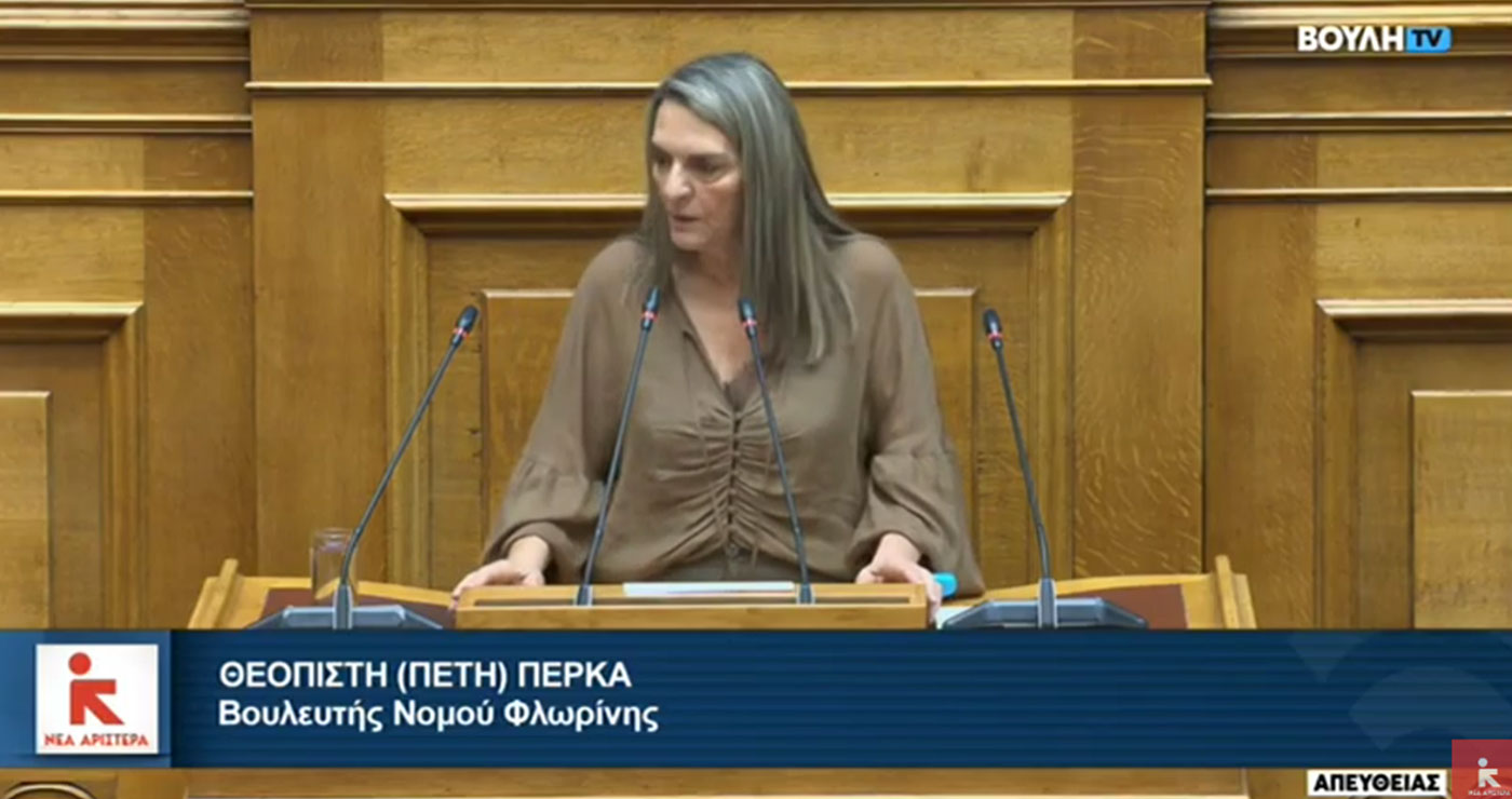 Πέτη Πέρκα: «Έλλειψη οράματος και σχεδιασμού στο νομοσχέδιο για το υδρογόνο και το βιομεθάνιο»