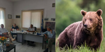 Το Δασαρχείο ζητάει εγγράφως την απομάκρυνση των αρκούδων από τα χωριά της Εορδαίας