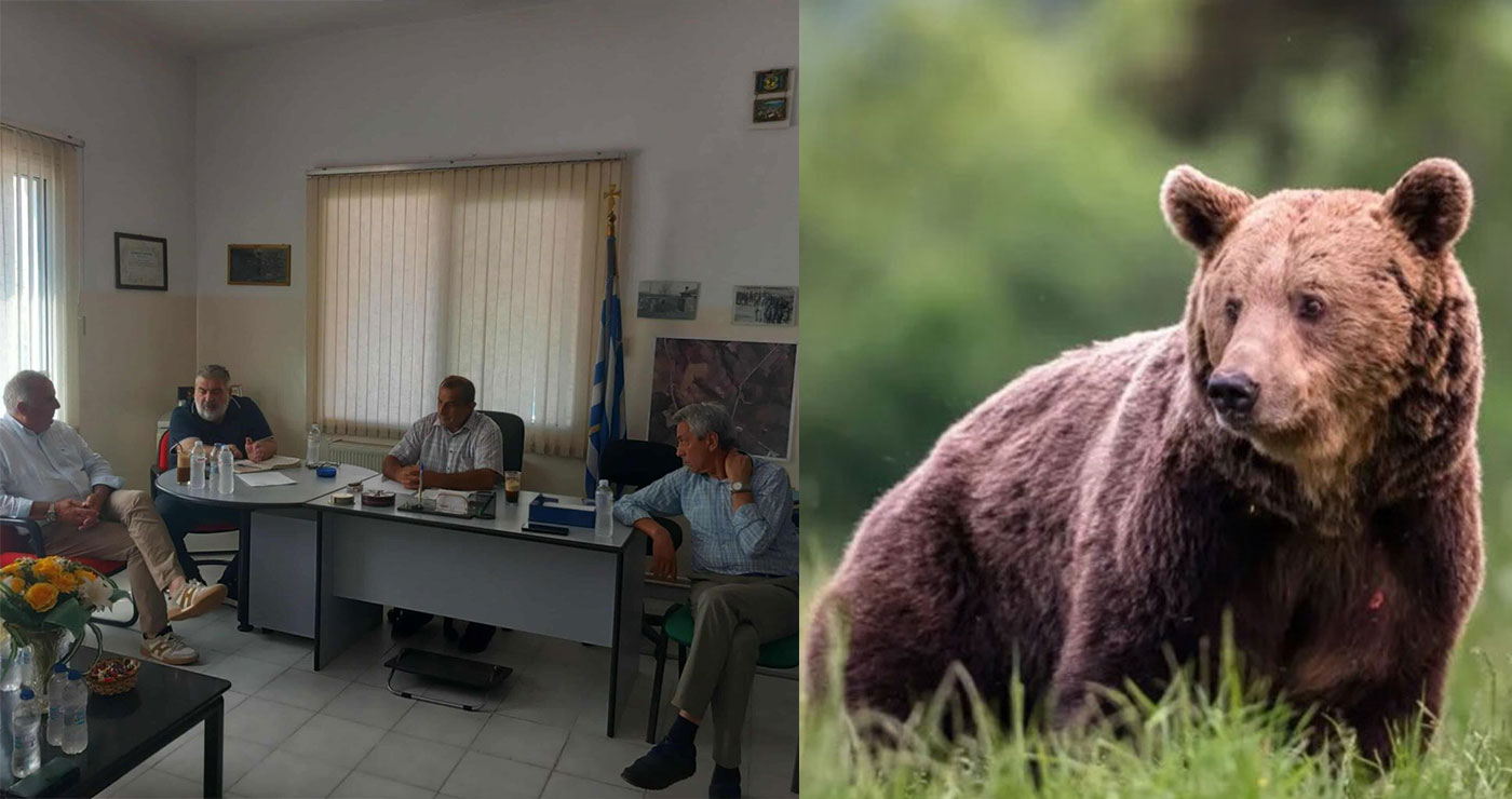 Το Δασαρχείο ζητάει εγγράφως την απομάκρυνση των αρκούδων από τα χωριά της Εορδαίας