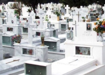 Εορδαία: Κοπές επικίνδυνων δέντρων σε τάφους