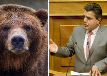 Ζήσης Τζηκαλάγιας: Οι αρκούδες τρομοκρατούν, οι τοπικές αρχές αποδεικνύονται ανίκανες
