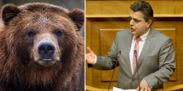 Ζήσης Τζηκαλάγιας: Οι αρκούδες τρομοκρατούν, οι τοπικές αρχές αποδεικνύονται ανίκανες