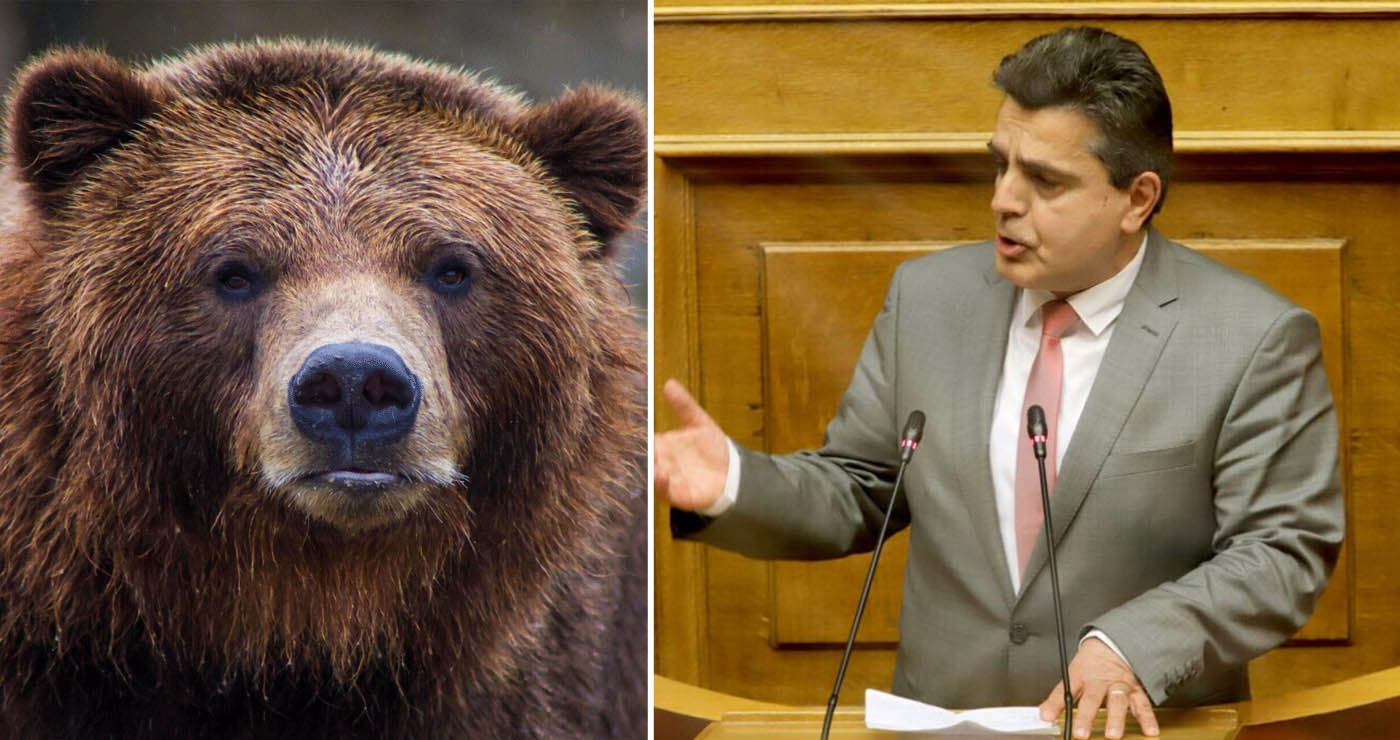 Ζήσης Τζηκαλάγιας: Οι αρκούδες τρομοκρατούν, οι τοπικές αρχές αποδεικνύονται ανίκανες
