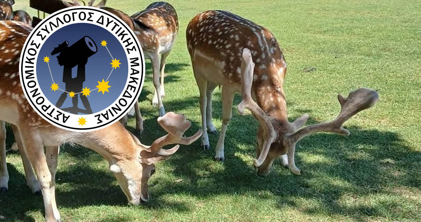 Άγιος Δημήτριος: Βραδιά κάτω από το Φεγγάρι του Αυγούστου στο Πάρκο Ελαφιών Αγίου Παντελεήμονα