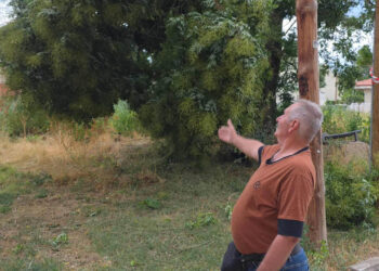Έκκληση κατοίκου στην Οδό Αθανασίου Διάκου “Θα πάρουμε φωτιά” τα καλώδια κρέμονται στον αέρα – Χωρίς ρεύμα το οικοδομικό τετράγωνο ( ρεπορτάζ της Κούλας Πουλασιχίδου )