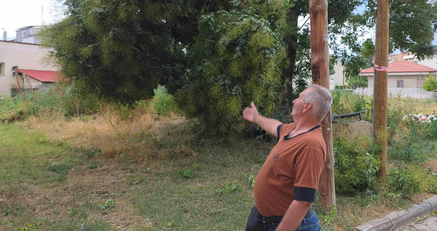 Έκκληση κατοίκου στην Οδό Αθανασίου Διάκου “Θα πάρουμε φωτιά” τα καλώδια κρέμονται στον αέρα – Χωρίς ρεύμα το οικοδομικό τετράγωνο ( ρεπορτάζ της Κούλας Πουλασιχίδου )